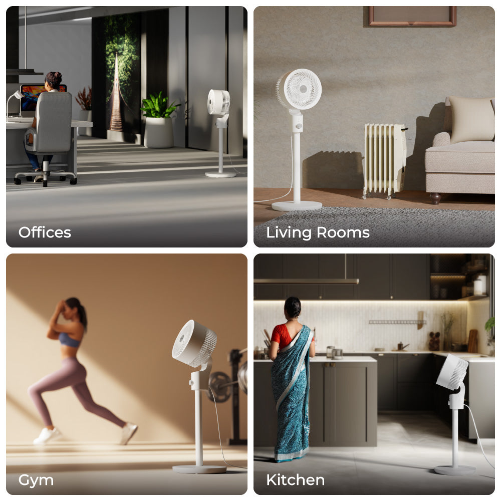 Gusto Lite - XECH